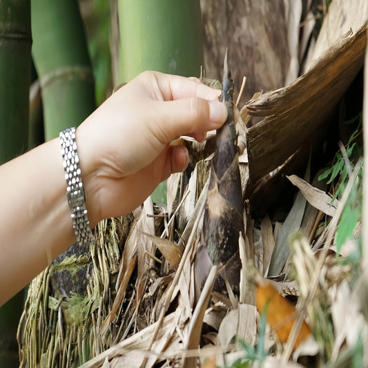 Community Supported Agriculture in the Tea Industry: A Literature Review