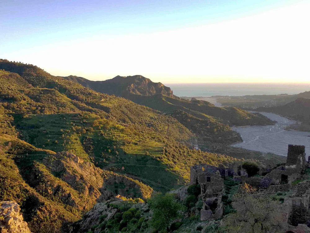 Ten Must-Read Books of Chinese Tea