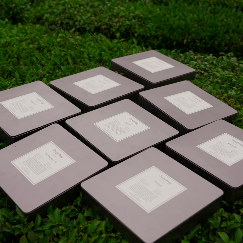 8 white tea box on the tea tree