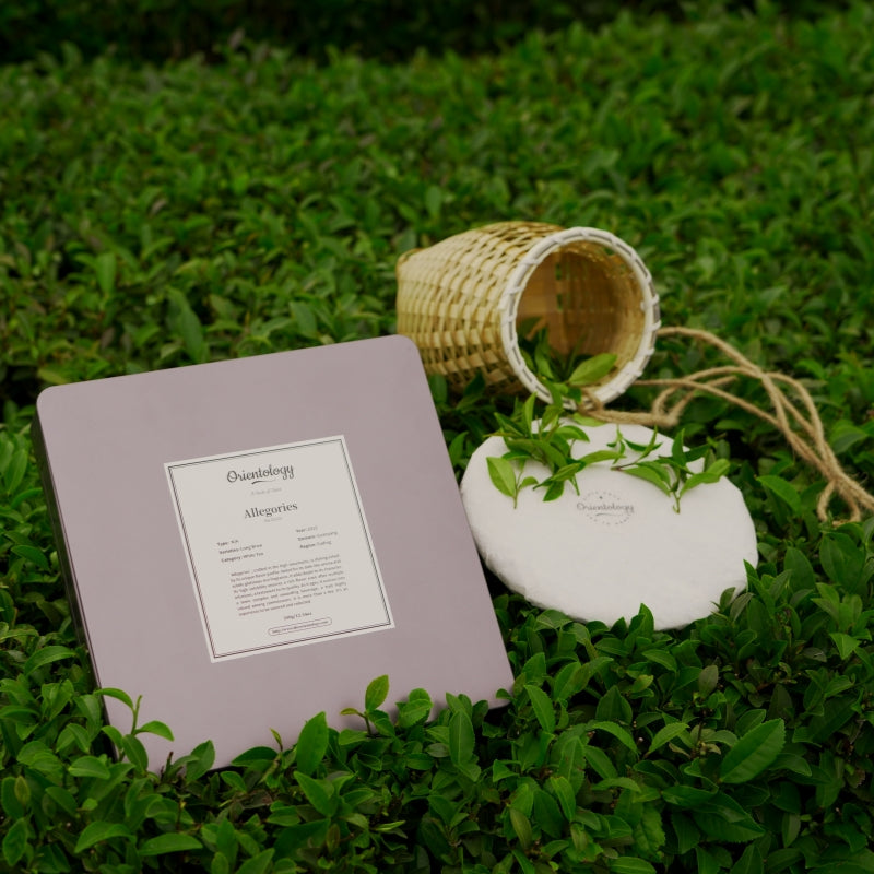 Premium Fujian White Tea: Allegories