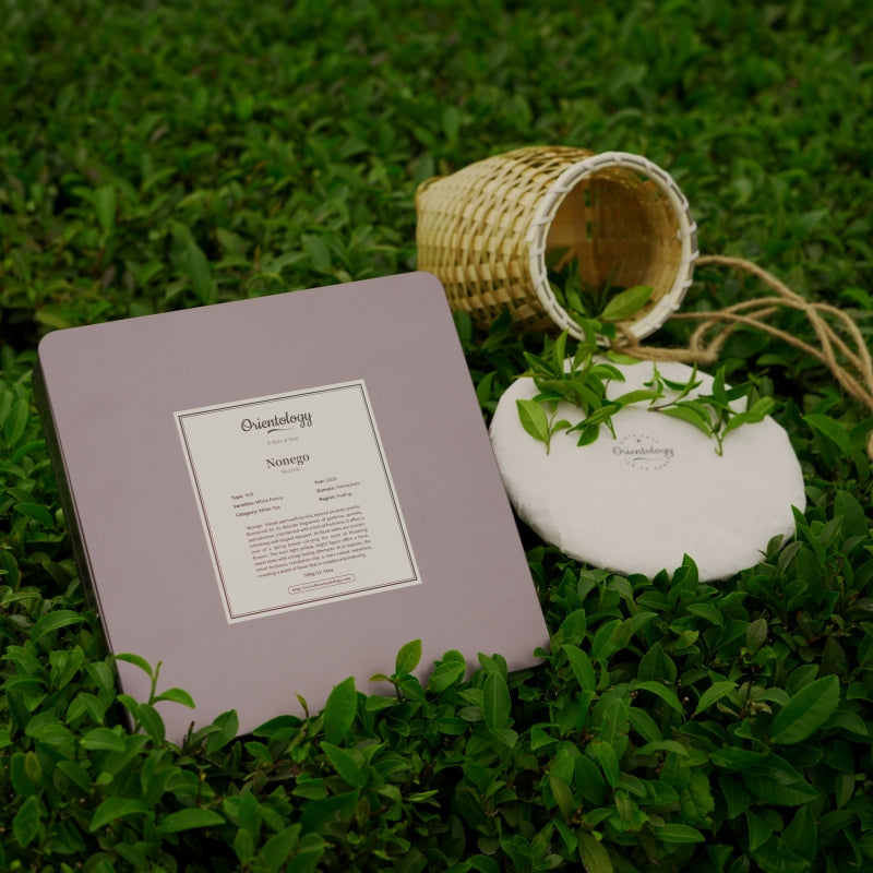 Premium Fujian White Tea: Nonego