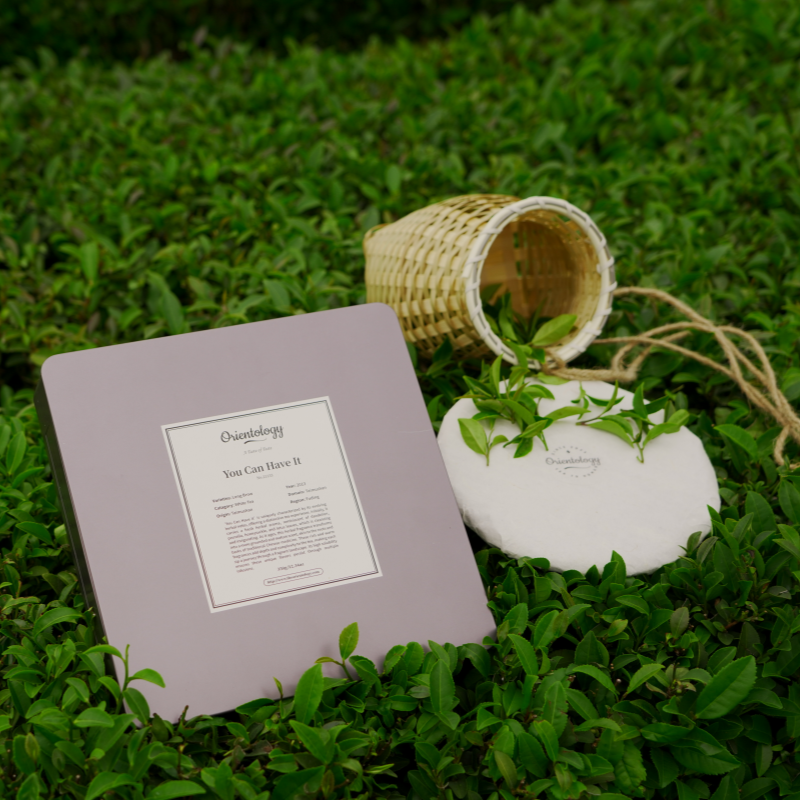 Premium Fujian White Tea: You Can Have It