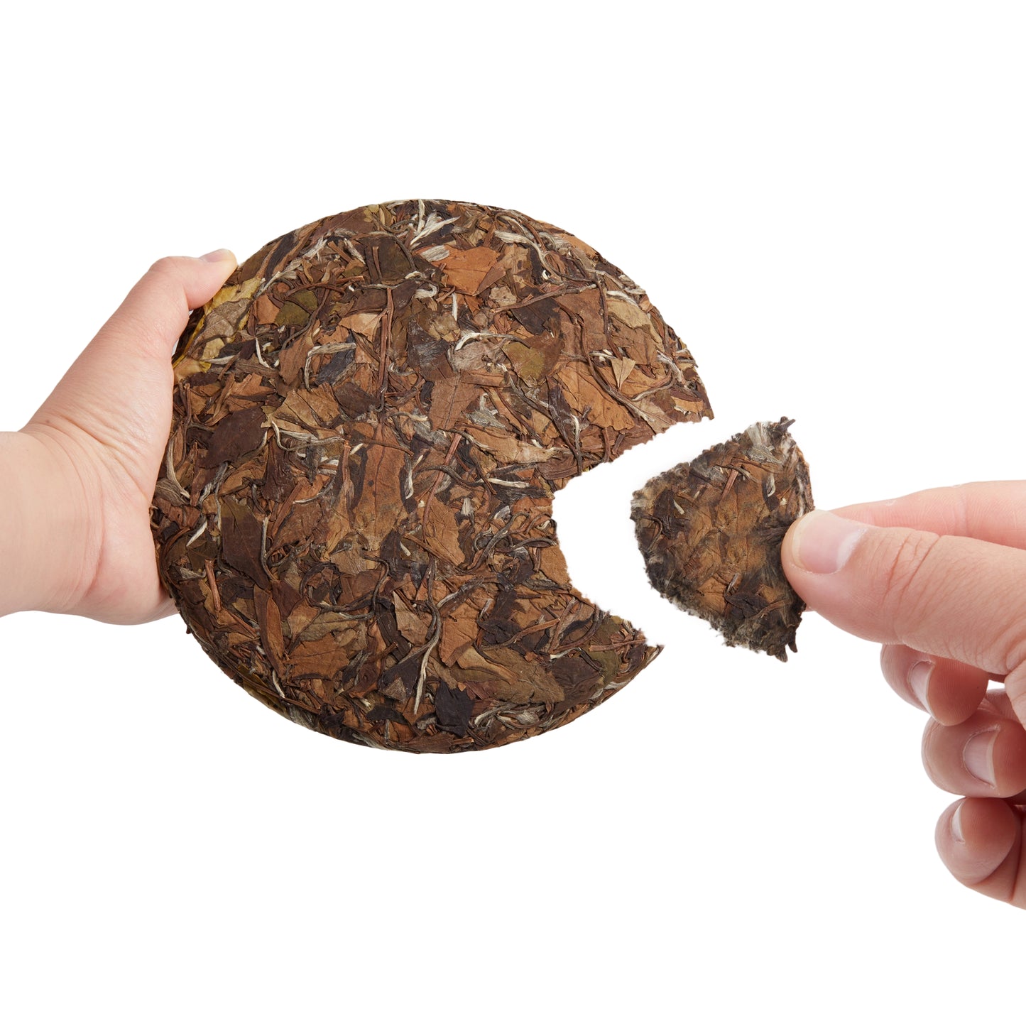 Premium Fujian White Tea: You Can Have It