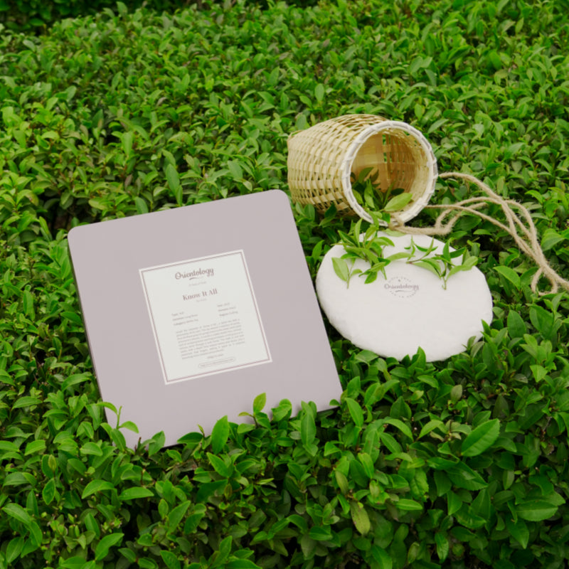 Premium Fujian White Tea: Know It All