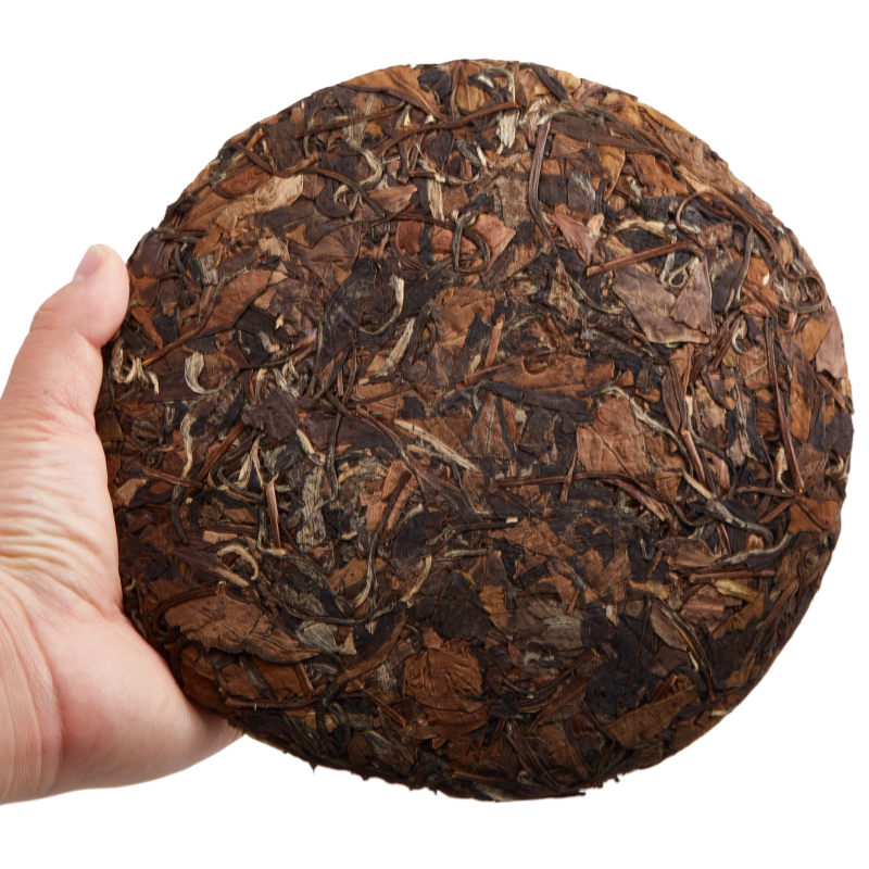 Premium Fujian White Tea: Know It All