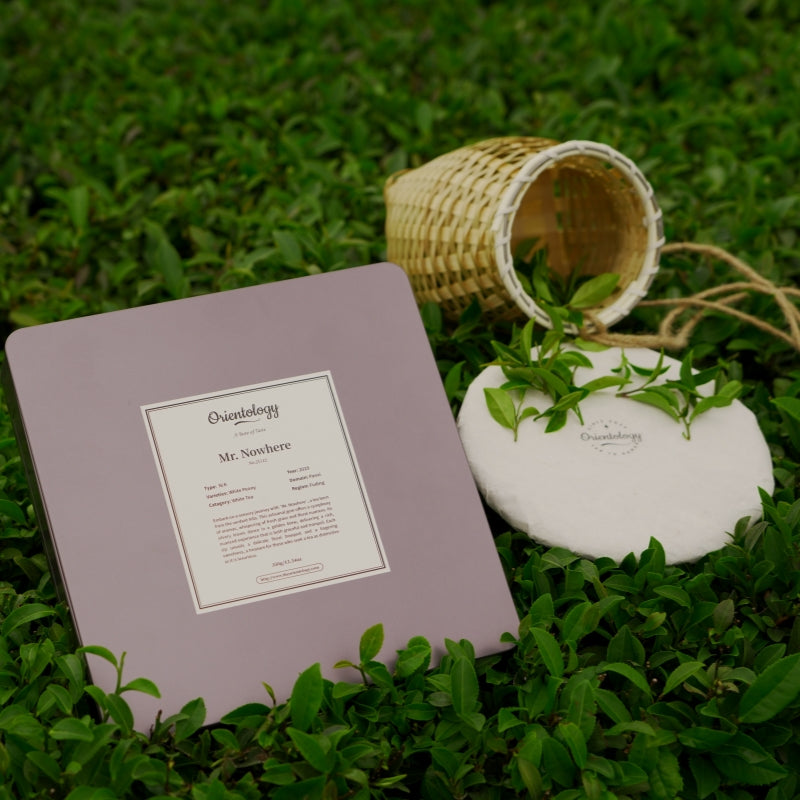 Premium Fujian White Tea: Mr Nowhere