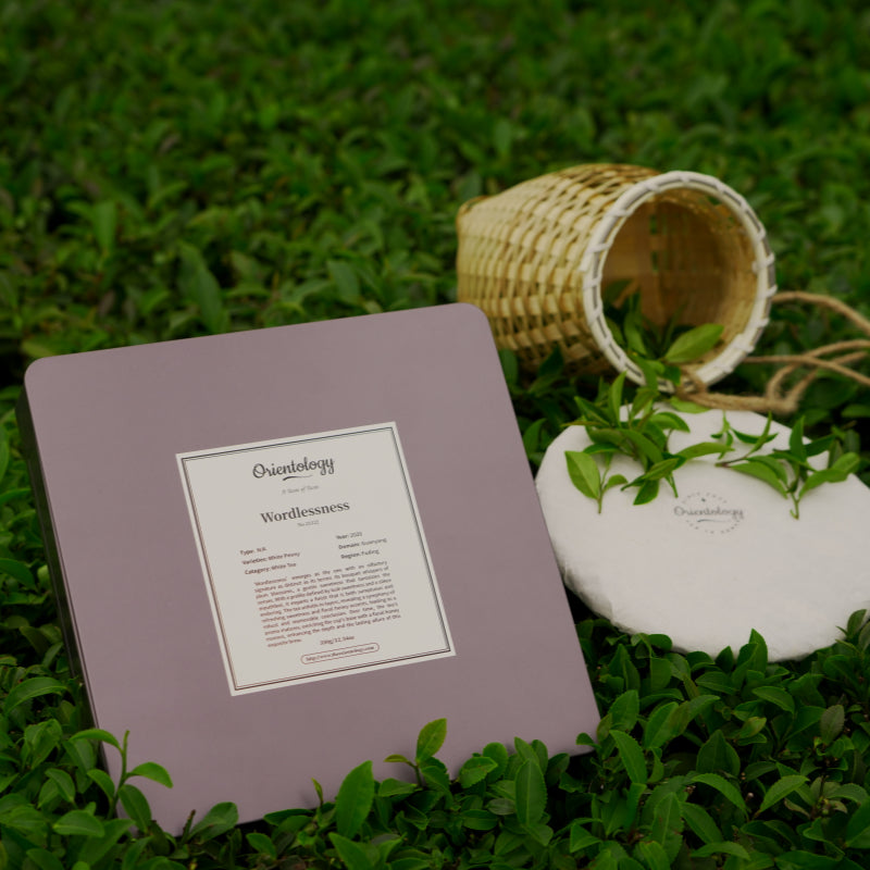 Premium Fujian White Tea: Wordlessness